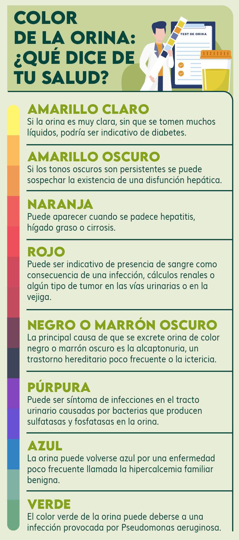 Color De La Orina: ¿Qué Dice De Tu Salud? | DKV Quiero Cuidarme